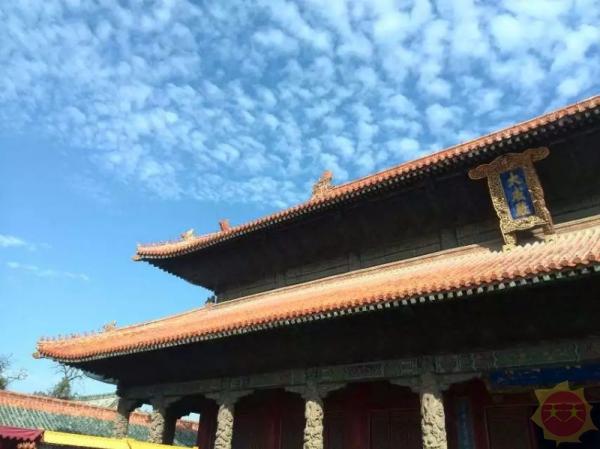 山东，致敬领导与同胞的深情寄语