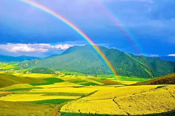 青海之韵,探索高原的独特魅力