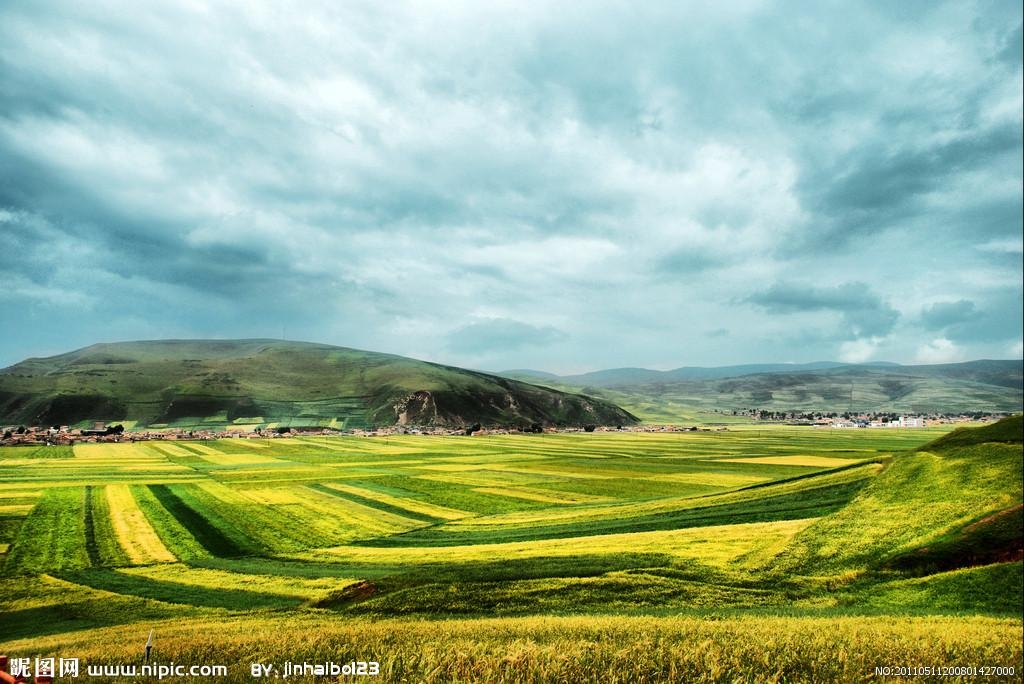 青海之韵,探索高原的独特魅力