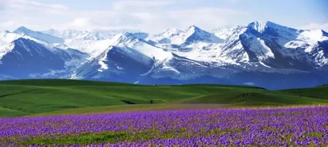 新疆任务与学习技能指南,初学者与进阶用户的详细步骤指南