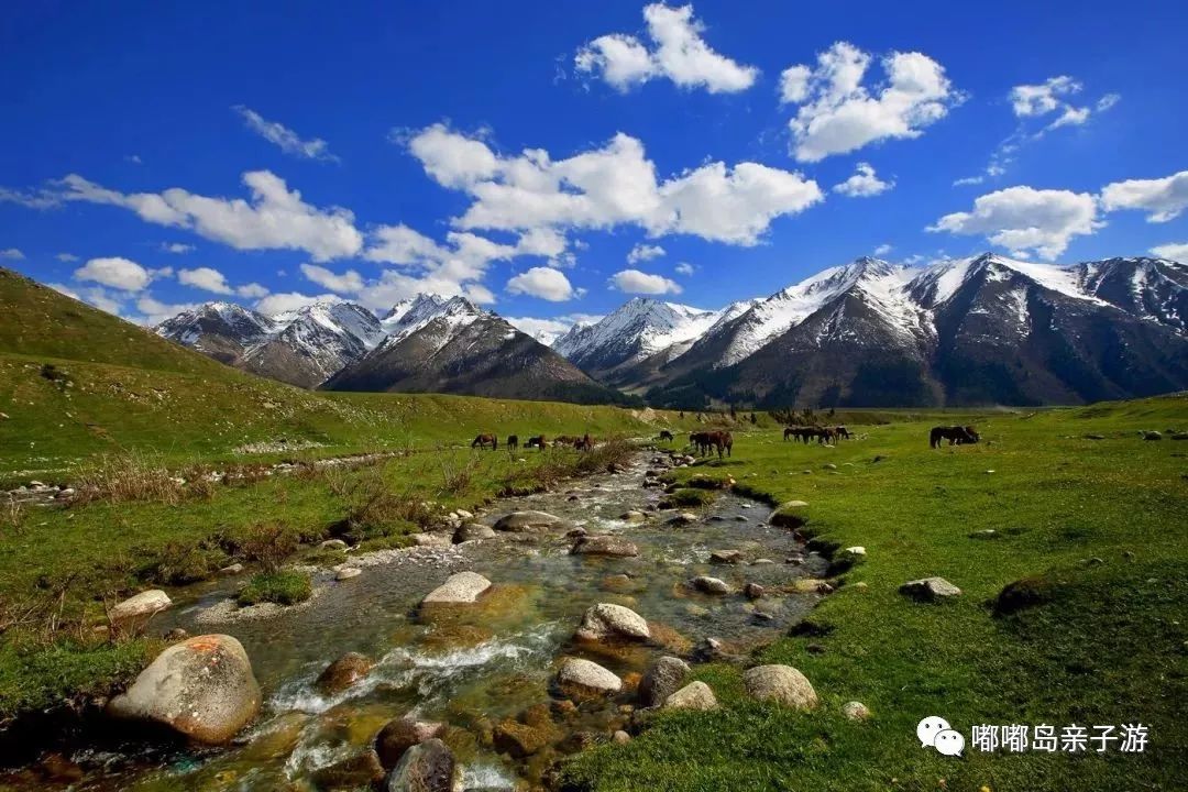 新疆任务与学习技能指南,初学者与进阶用户的详细步骤指南